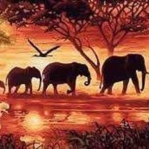 Meet your Posher, Cynthia